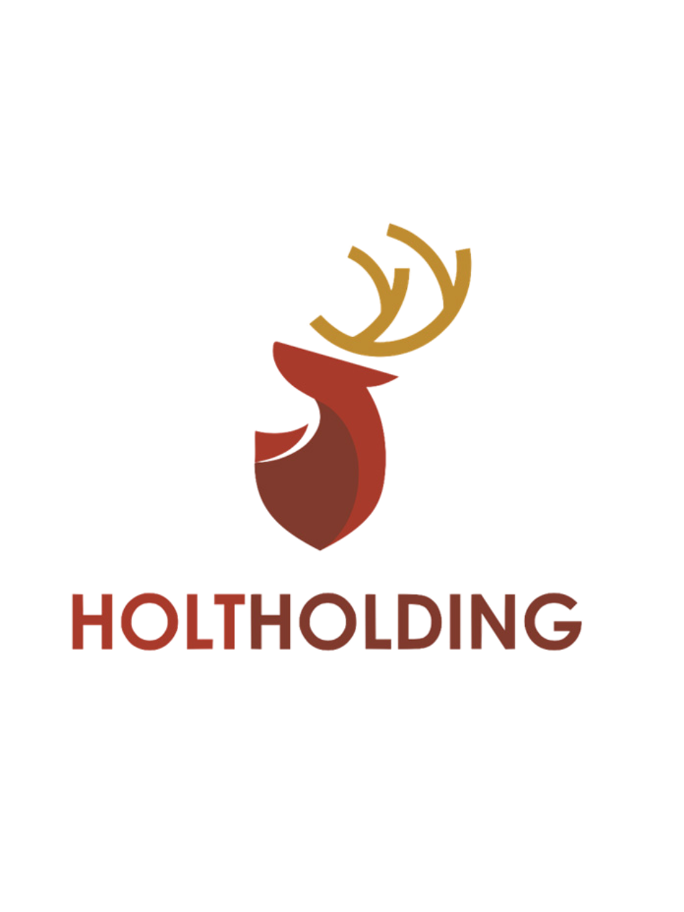 Holt Holding